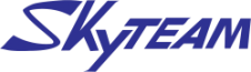 Skyteam logo