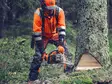 Husqvarna 564 XP® G Fuel Inject lämpökahvallinen moottorisaha ammattikäyttöön - Polttomoottorisahat - 9707116-40 - 3