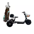 Kruiser Trike Golf bag teline - Kruiser Trike lisävarusteet - VT183063 - 1