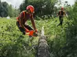 Husqvarna 435i Akkumoottorisaha räätälöitävällä varustepaketilla - Akkumoottorisahat - 9707182-14 - 4
