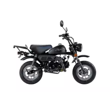Skyteam Tuning R 10 49cc mopo - Mopot - SKY-TR10-MBLACK - 1